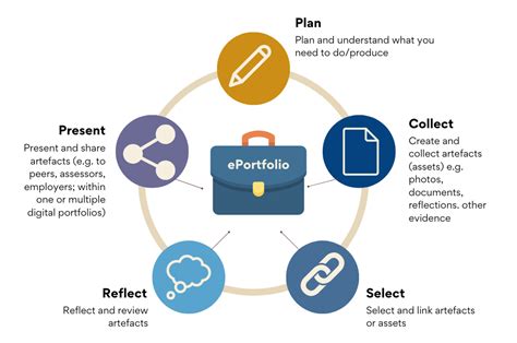 miu e portfolio